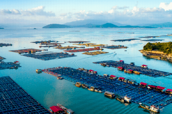 加固平板電腦助力智慧農業水產養殖升級轉型